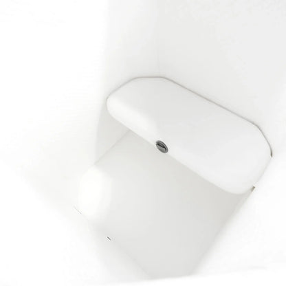 Arctic White