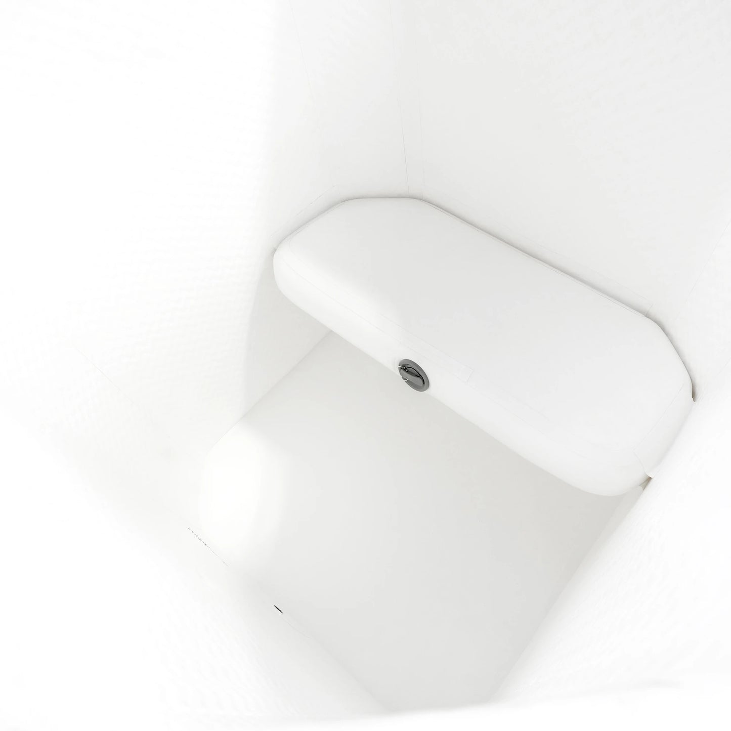 Arctic White