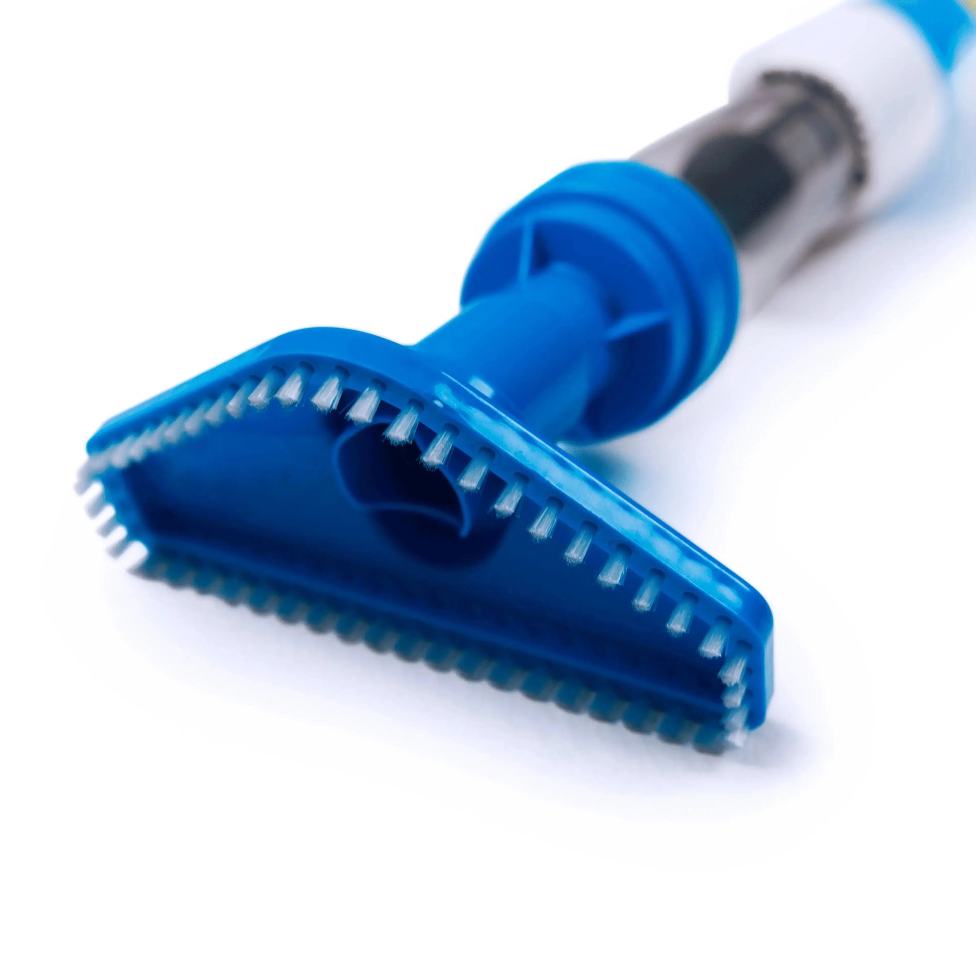 Blue scrubber brush on a white background